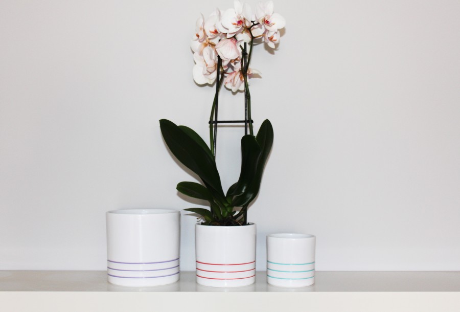 
                          	                                 Indoor flowerpots                                                             